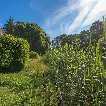 - Domaine Du Preconil Sainte-Maxime