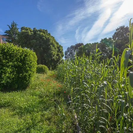 - Domaine Du Preconil Apartment Sainte-Maxime